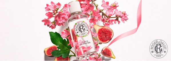 Fleur de Figuier